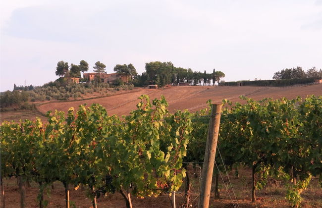 Il Poderaccio - Foto 75