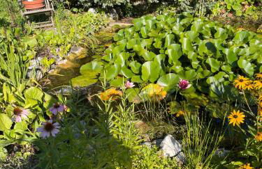 Traumhaftes Wohnen beim Badesee - Photo 14