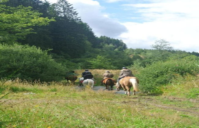 Golden Days in San Donato Home - Foto 21