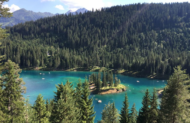 Peaks Place Apartment-Hotel & Spa - Foto 31