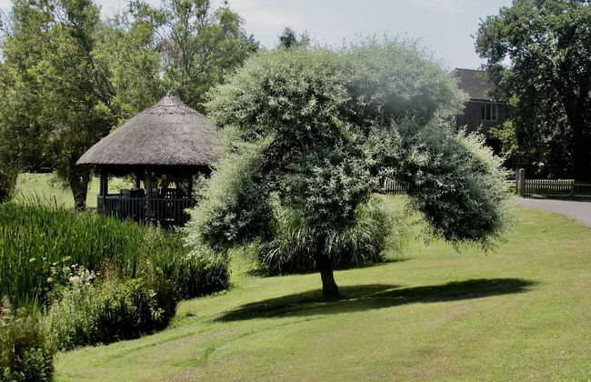 Northlands Farm & Lakes - Foto 54