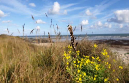 Côté Mer - Jardin privatif à 200m de la plage - Photo 29