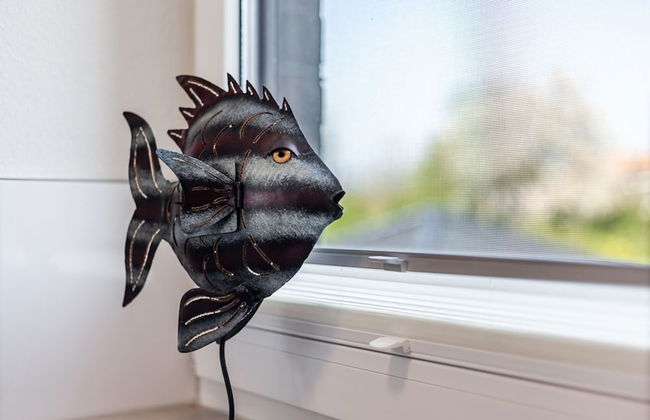 Kirschgarten 9 - Seestern - Photo 13