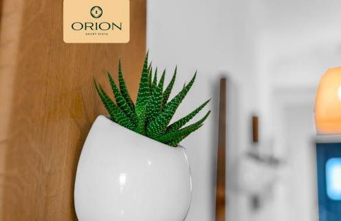 Creel Cottage No 4, Beach Front, Arbroath - Photo 12