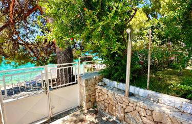 Perla & Palma - Foto 20