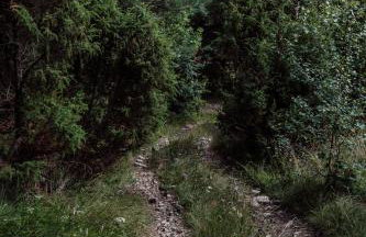 Willa Juszczyn - Foto 68