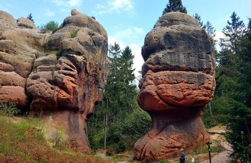 Auf-der-Muehlwiese - Foto 39