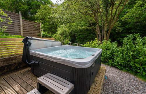 Lavender Lodge 1BR with Hot Tub near Black Mountain - Foto 3