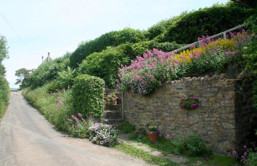 The Cottage Abbotsbury - Foto 5