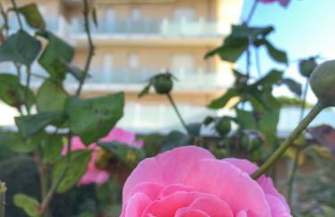 Emozione Marina - appartamento fronte mare - Foto 22