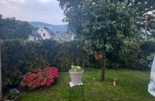 Pod Dębem - Foto 17