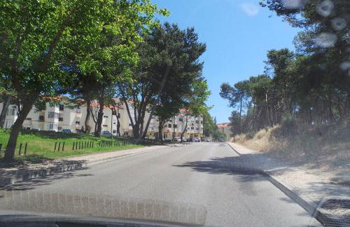 Quinta dos Lombos - Foto 3