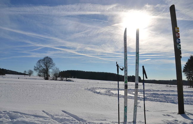 Holiday Home in Odeigne With Sauna - Photo 40