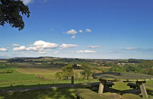 The Huffy House - Foto 10