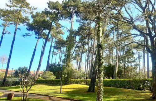 Appartement Golf et Océan - Foto 29