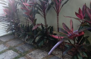 Jardim das Orquídeas 1 - Foto 38