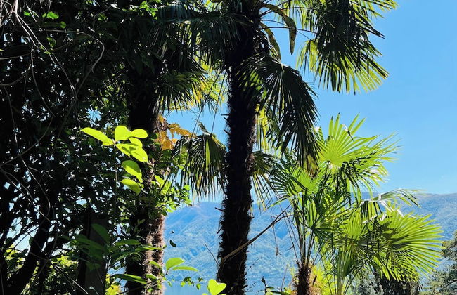 Enchanting View of Lake Maggiore & Mountains - Photo 36