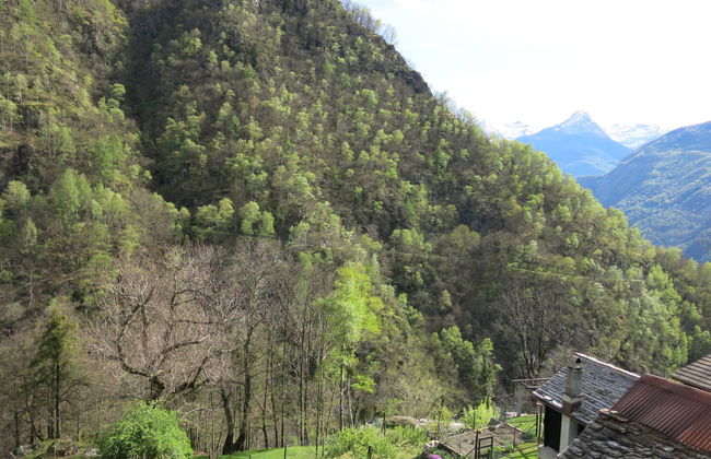 Rustico Diego - Photo 25