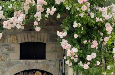 Tenuta San Filippo - Foto 37