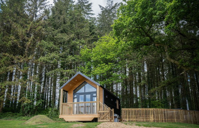 Cabin In The Woods - 1 Bed - Kilgetty - Foto 27