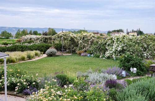 Il Fienile di Assisi - Photo 22