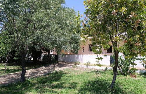 Las Casitas de Higuera - Foto 4