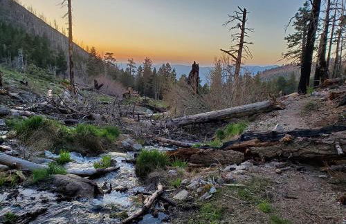 Snow Bunny Cottage, Pets Welcomed! - Foto 43