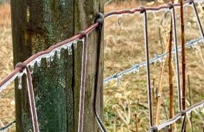 Winding Creek Cabin - Photo 61