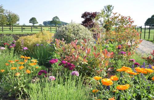 Sykes Lodge - Foto 68