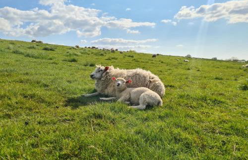 Ferienwohnung Sabrina - Foto 19