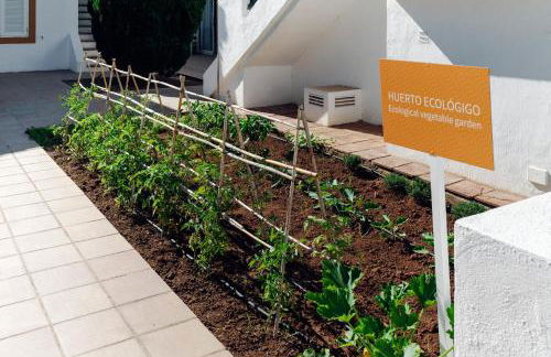 AluaSun Lago Park - Foto 56