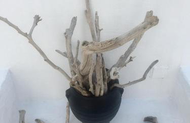 Kyano House - Photo 27