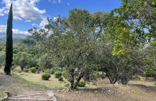 A Casuccia - Foto 31