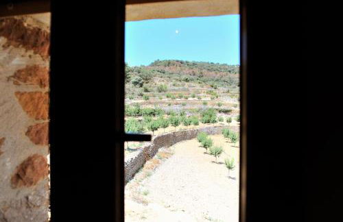 Masia Campos Culla - Foto 16