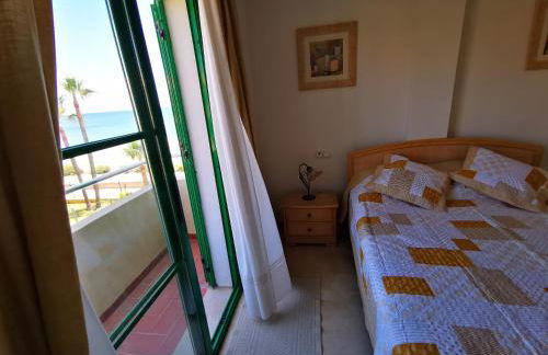 Beach Diamond - Photo 9