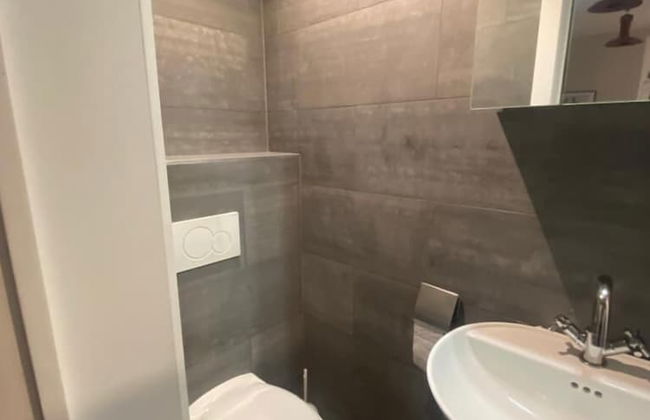 Smartflars - Collector - Foto 74