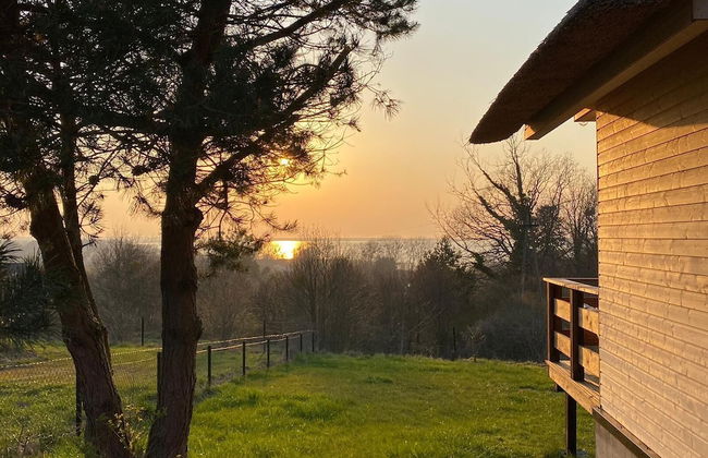 Ptasia Osada - Photo 55