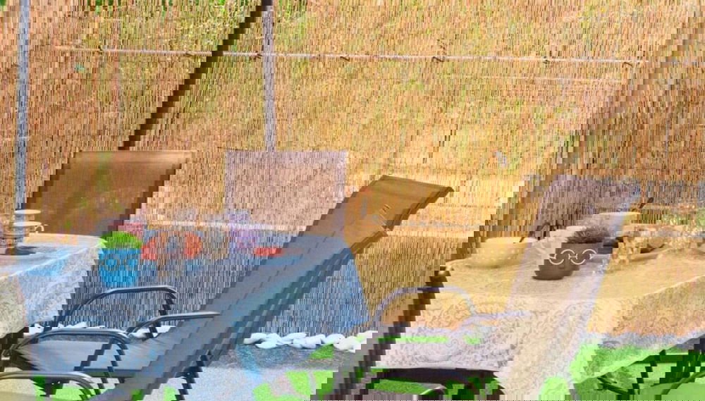 D A Sea Breeze Next to the sea - Foto 1, Imagen principal