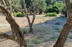 Les jardins de Foata - Foto 64