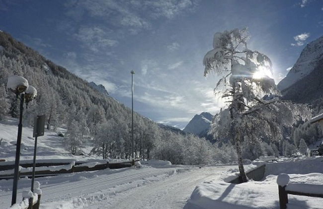 Apartments Arcadia - Foto 55