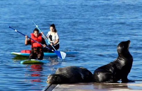 Pearl Coast - Modern 2BR with Rooftop Pool & Views - Foto 48