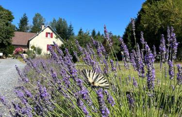 Liabaquet Gîtes - Foto 27