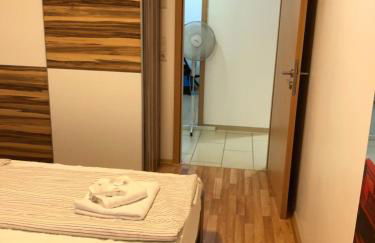 Sahara Falcon - Photo 106