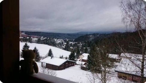 Haus Bergwiese - Foto 3