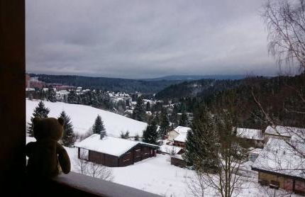 Haus Bergwiese - Foto 3