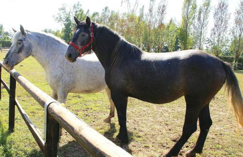 Zio Stefy - Photo 29