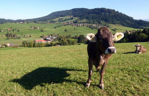 Ferienwohnung Am Kräutergarten - mit Pool, Sauna und Garage - Foto 28