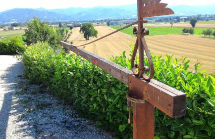 Agriturismo Podere Casenove - Foto 34