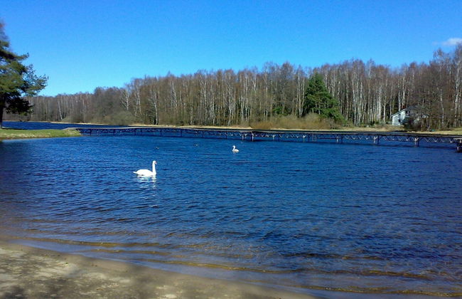 Cottage by Rosnowskie Lake With Sandy Beach - Foto 18