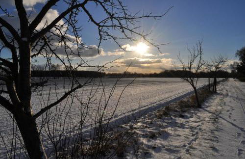Kulturfreizeiten Ferienwohnungen - Photo 59